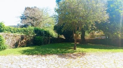 Maison rustique T3 à Facha de 257 m²