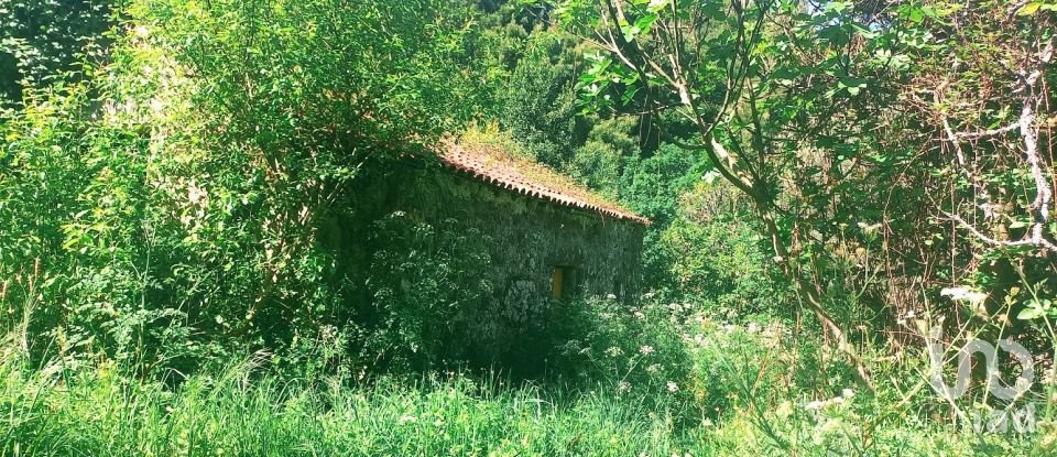 Casa de Campo T3 em Facha de 257 m²