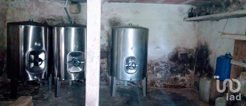 Casa de Campo T3 em Facha de 257 m²