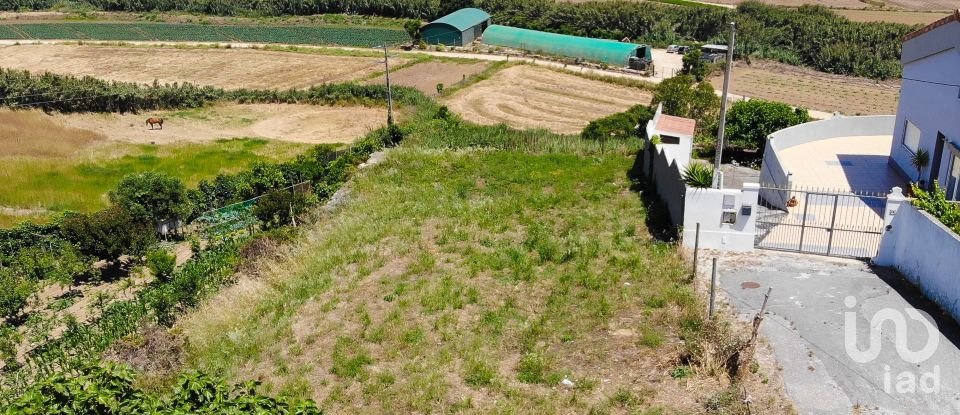 Terreno urbano em Lourinhã e Atalaia de 630 m²