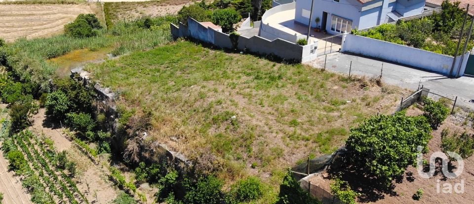 Terreno urbano em Lourinhã e Atalaia de 630 m²