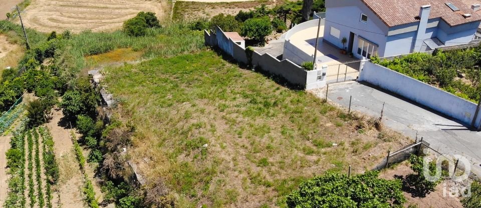 Terreno urbano em Lourinhã e Atalaia de 630 m²