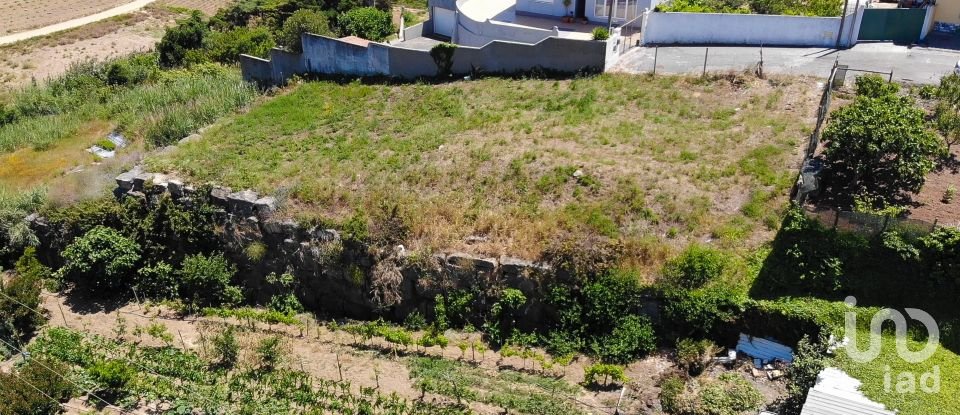 Terreno urbano em Lourinhã e Atalaia de 630 m²