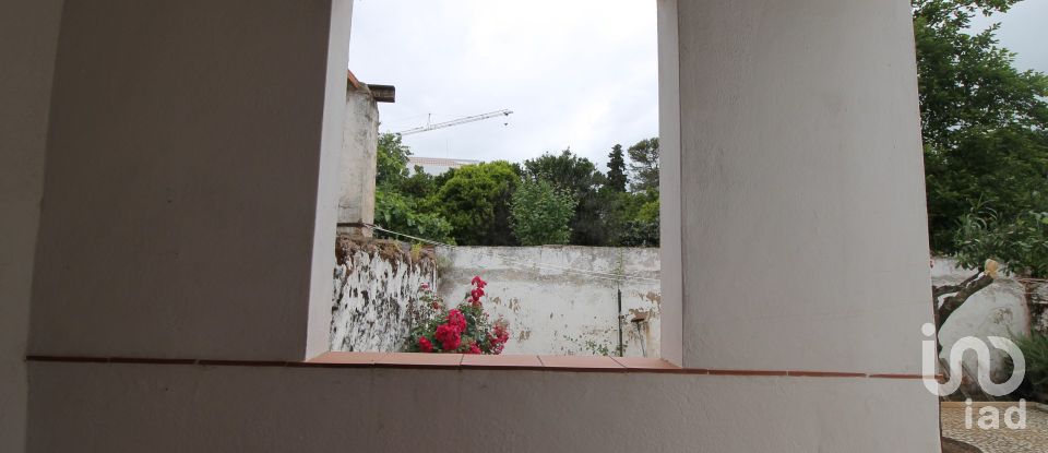 Traditional house T4 in Nossa Senhora da Conceição e São Bartolomeu of 242 m²