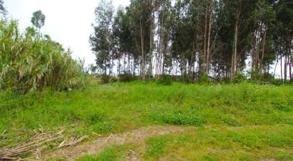 Land in Silvalde of 1,500 m²