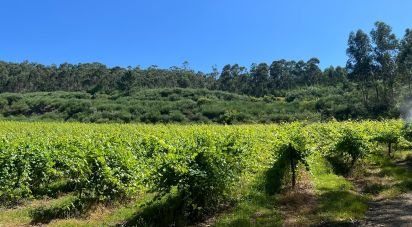 Terrain agricole à Sousela de 62 400 m²