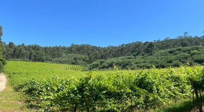 Terrain agricole à Sousela de 62 400 m²