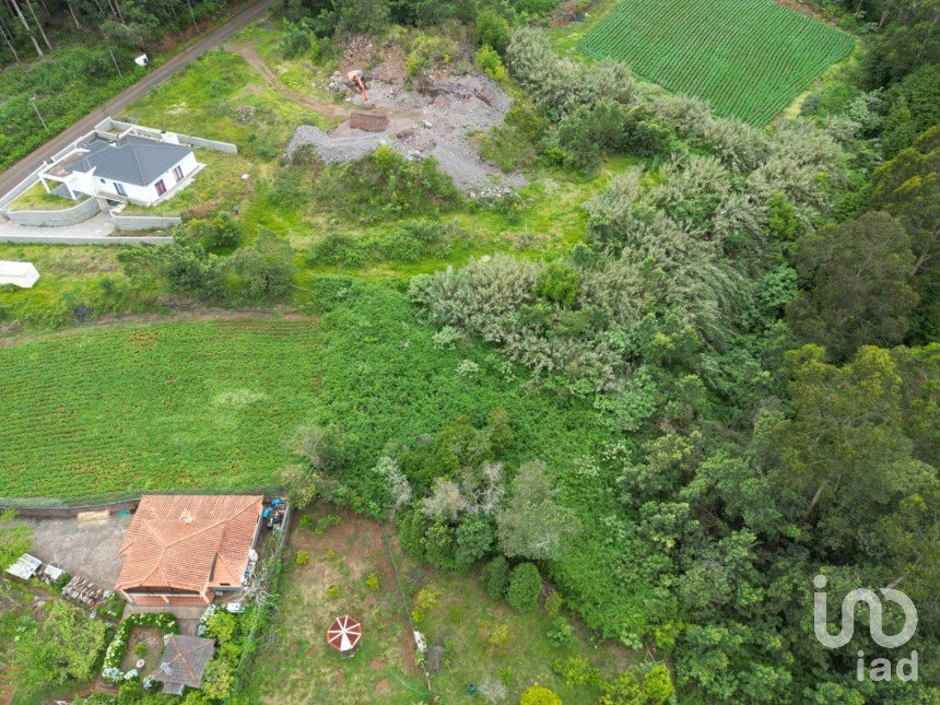 Terrain à São Jorge de 1 310 m²