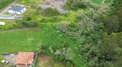 Terrain à São Jorge de 1 310 m²