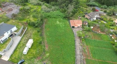 Terrain à São Jorge de 1 310 m²