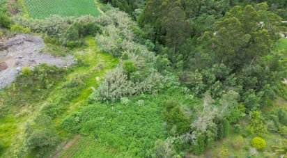 Terrain à São Jorge de 1 310 m²
