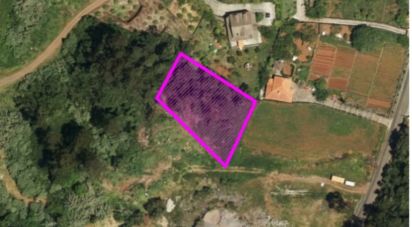 Terrain à São Jorge de 1 310 m²