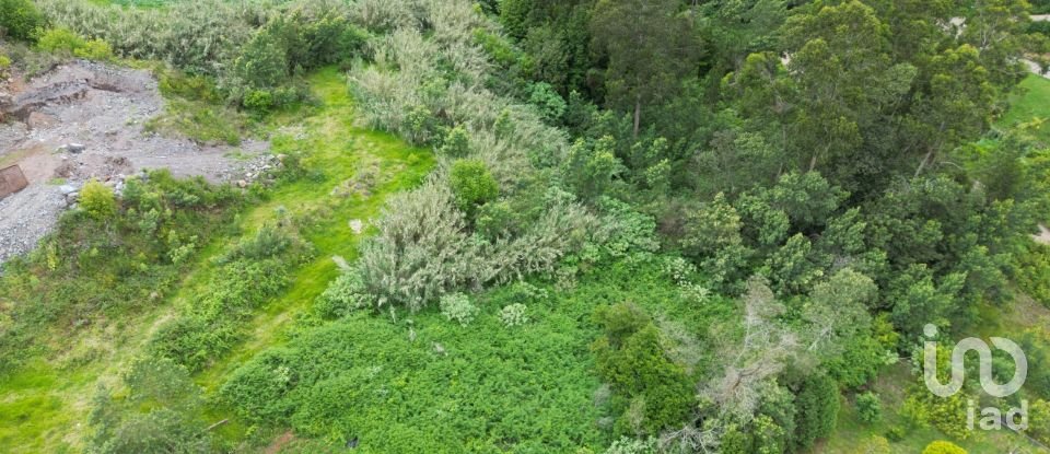 Terrain à São Jorge de 1 310 m²