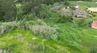 Terrain à São Jorge de 1 310 m²