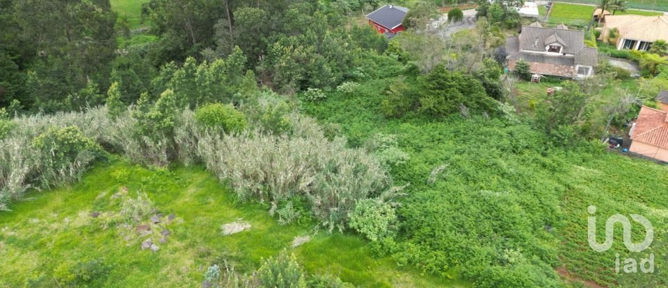 Terrain à São Jorge de 1 310 m²