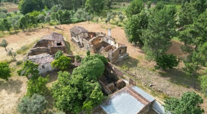 Ferme T14 à Pedrógão Pequeno de 800 m²