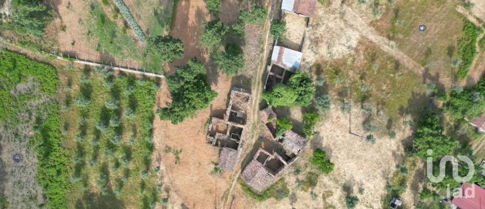 Quinta T14 em Pedrógão Pequeno de 800 m²