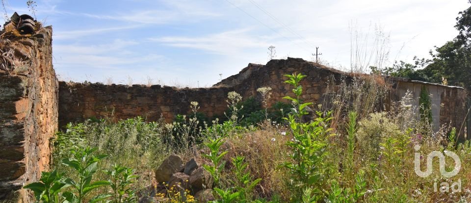 Quinta T14 em Pedrógão Pequeno de 800 m²
