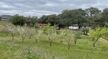 Ferme T10 à São Martinho das Amoreiras de 102 m²