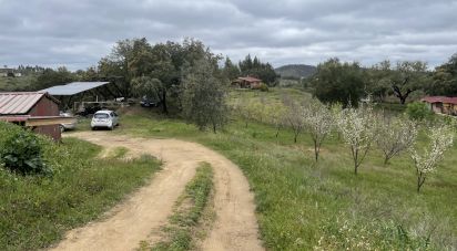 Ferme T10 à São Martinho das Amoreiras de 102 m²