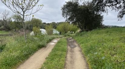 Ferme T10 à São Martinho das Amoreiras de 102 m²