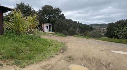 Ferme T10 à São Martinho das Amoreiras de 102 m²