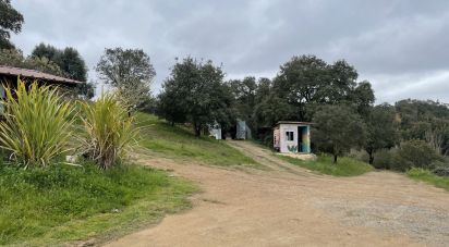 Ferme T10 à São Martinho das Amoreiras de 102 m²