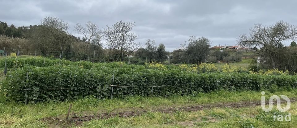 Ferme T10 à São Martinho das Amoreiras de 102 m²