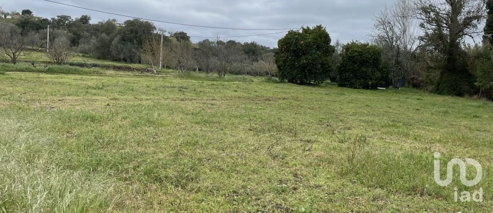 Ferme T10 à São Martinho das Amoreiras de 102 m²