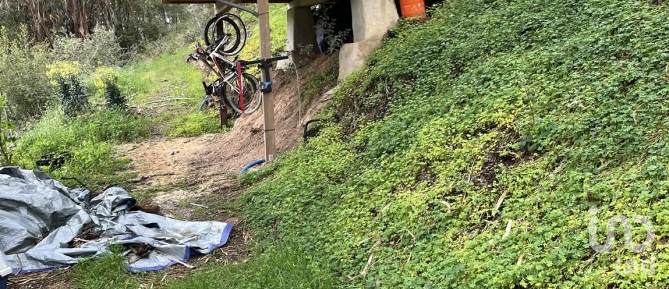 Ferme T10 à São Martinho das Amoreiras de 102 m²