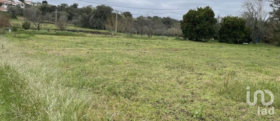 Ferme T10 à São Martinho das Amoreiras de 102 m²