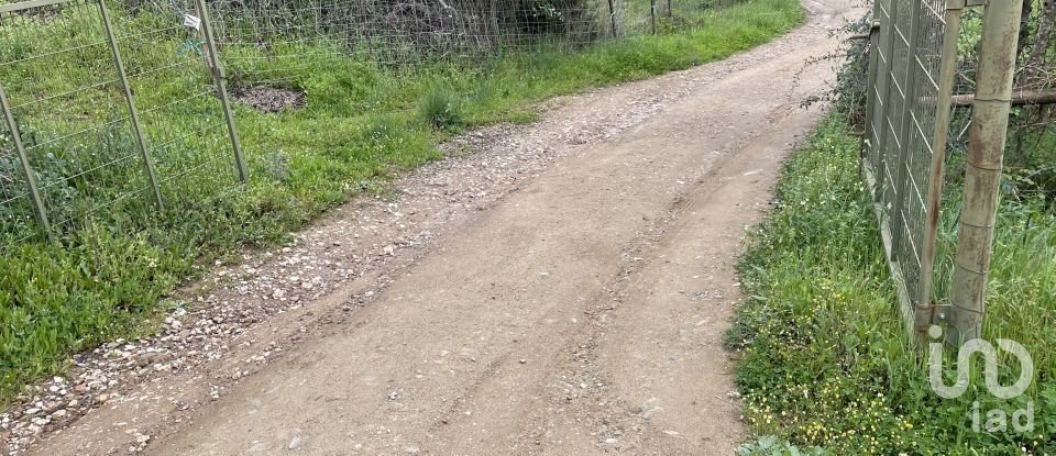 Ferme T10 à São Martinho das Amoreiras de 102 m²