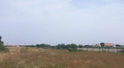 Terrain à Marinhais de 3 583 m²