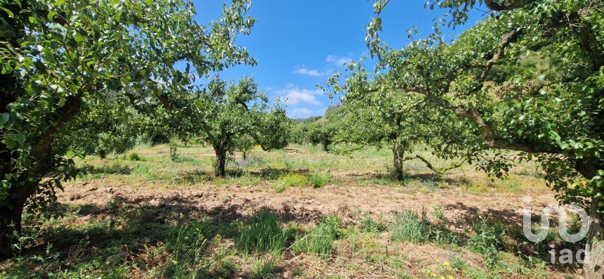 Terreno em Azueira e Sobral da Abelheira de 7 812 m²
