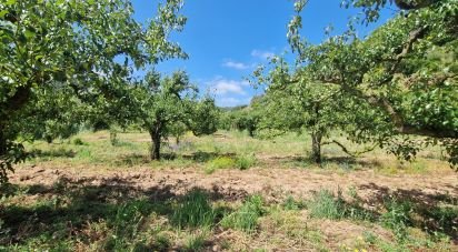 Terrain à Azueira e Sobral da Abelheira de 7 812 m²