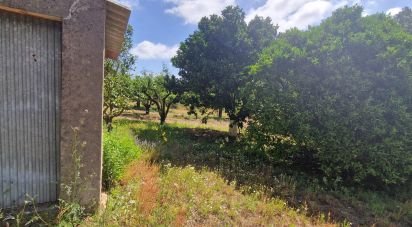 Terrain à Azueira e Sobral da Abelheira de 7 812 m²