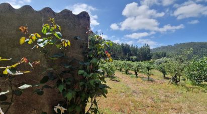 Terrain à Azueira e Sobral da Abelheira de 7 812 m²
