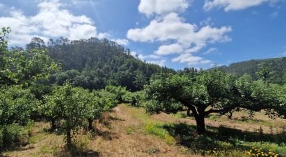 Terrain à Azueira e Sobral da Abelheira de 7 812 m²