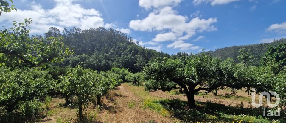 Terreno em Azueira e Sobral da Abelheira de 7 812 m²