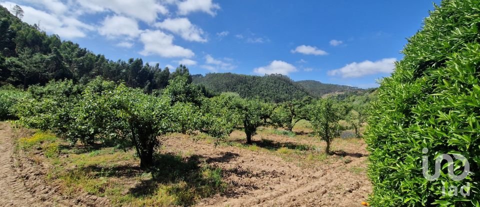 Terreno em Azueira e Sobral da Abelheira de 7 812 m²