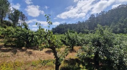 Terrain à Azueira e Sobral da Abelheira de 7 812 m²