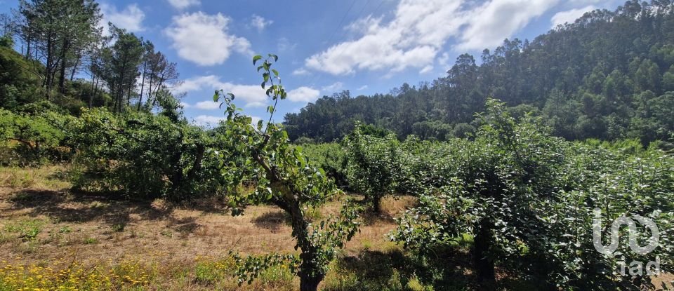 Terreno em Azueira e Sobral da Abelheira de 7 812 m²