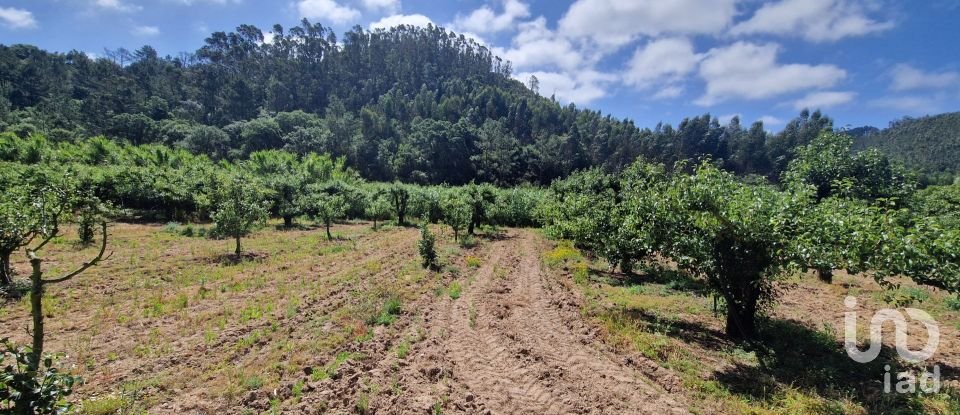 Terreno em Azueira e Sobral da Abelheira de 7 812 m²
