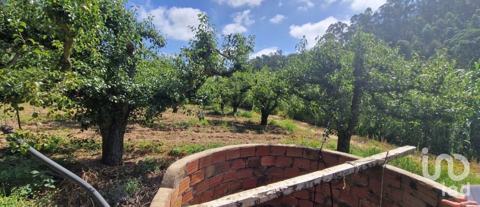 Terreno em Azueira e Sobral da Abelheira de 7 812 m²