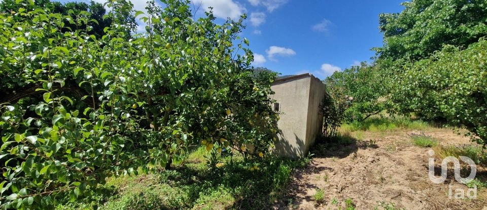 Terreno em Azueira e Sobral da Abelheira de 7 812 m²