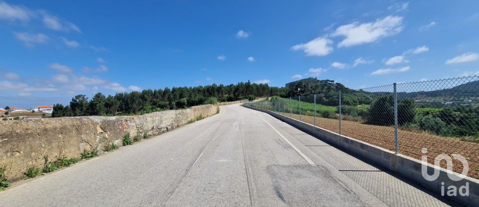 Terreno em Azueira e Sobral da Abelheira de 7 812 m²