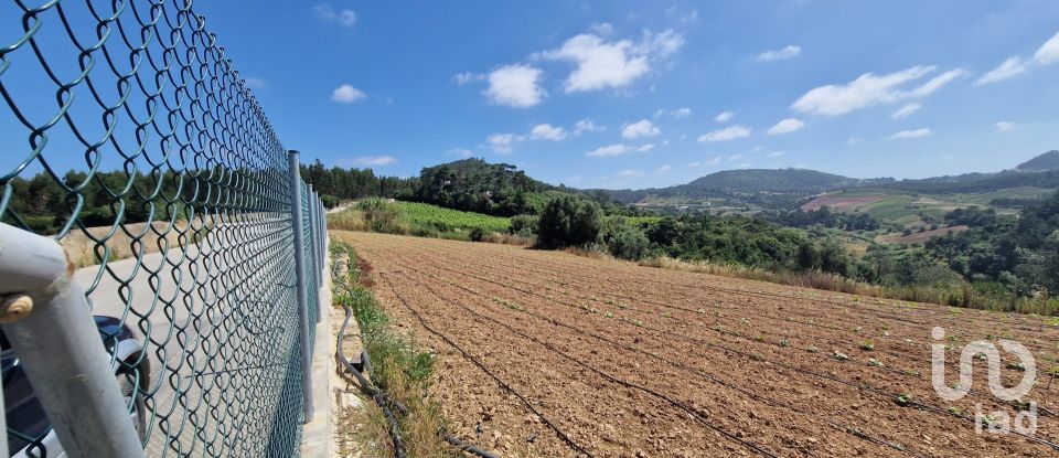 Terreno em Azueira e Sobral da Abelheira de 7 812 m²