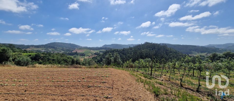 Terreno em Azueira e Sobral da Abelheira de 7 812 m²