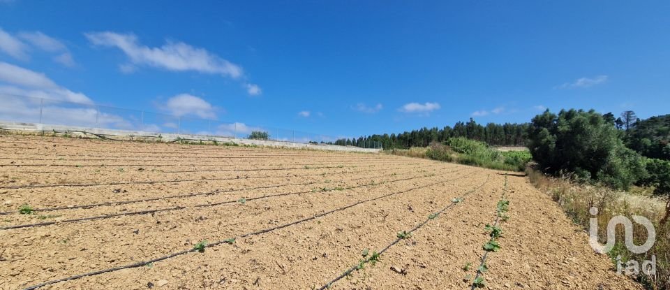Terreno em Azueira e Sobral da Abelheira de 7 812 m²