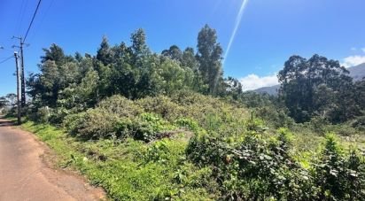 Terrain à bâtir à São Jorge de 1 560 m²